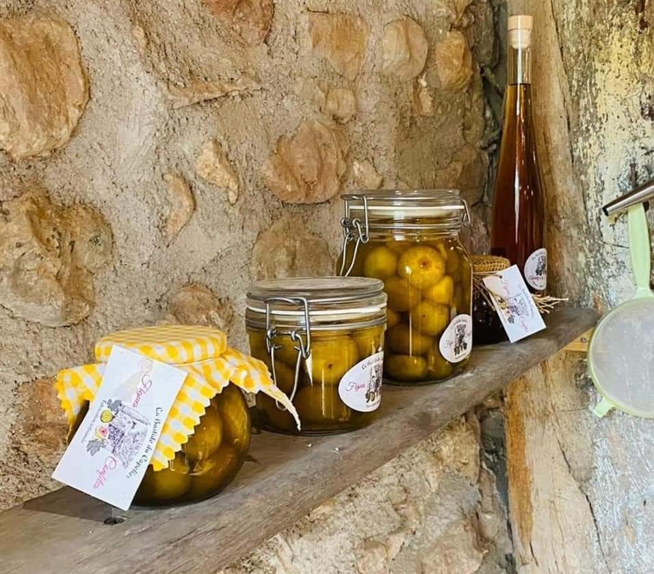 La Bastide Du Capelier - Chambres D'Hotes Avec Baignoire Balneotherapie - 3 Etoiles Салерн Экстерьер фото